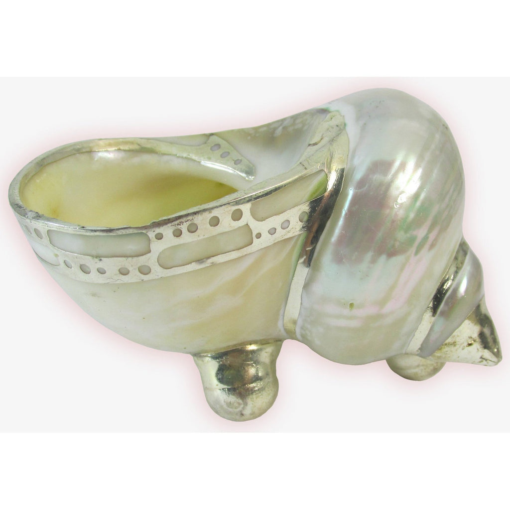 Pearled Turbo Shell Keepsake Holder
