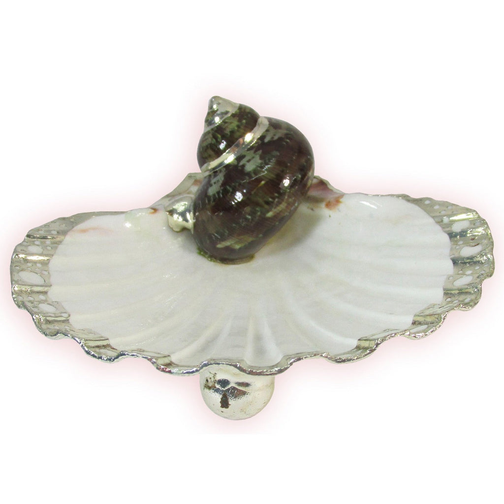 Scallop Shell Candy Dish