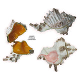 Conch Shell Jeweled Trinket Box Austrian Crystals