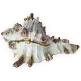 Conch Shell Jeweled Trinket Box Austrian Crystals