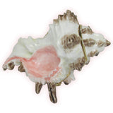 Conch Shell Jeweled Trinket Box Austrian Crystals