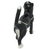 RUCINNI Cat Jeweled Trinket Box,