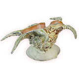 Spider Conch Shell Dish