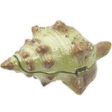 RUCINNI Shell Jeweled Trinket Box, Brown