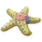RUCINNI Starfish Jeweled Trinket Box