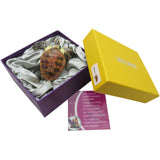 RUCINNI Sea Turtle Jeweled Trinket Box